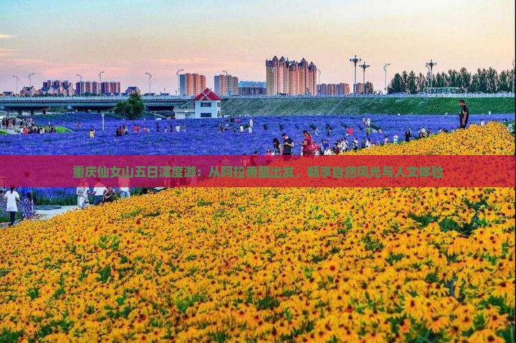 重庆仙女山五日深度游：从阿拉善盟出发，畅享自然风光与人文体验
