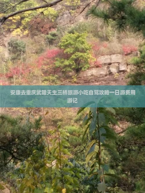 安康去重庆武隆天生三桥旅游小吃自驾攻略一日游费用游记
