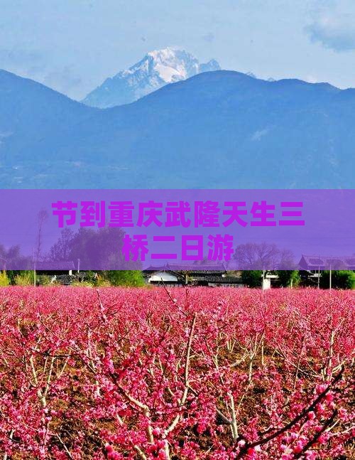 节到重庆武隆天生三桥二日游
