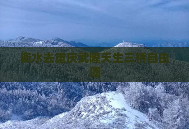 衡水去重庆武隆天生三桥自由团