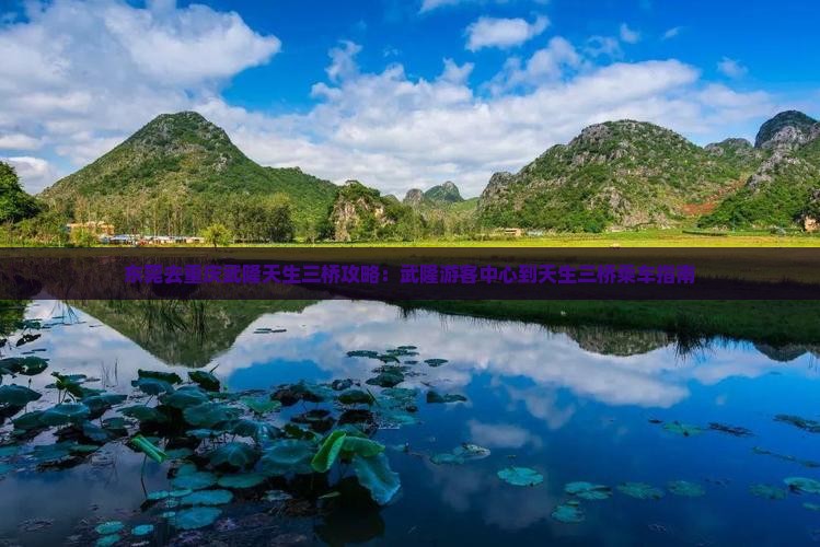 东莞去重庆武隆天生三桥攻略：武隆游客中心到天生三桥乘车指南
