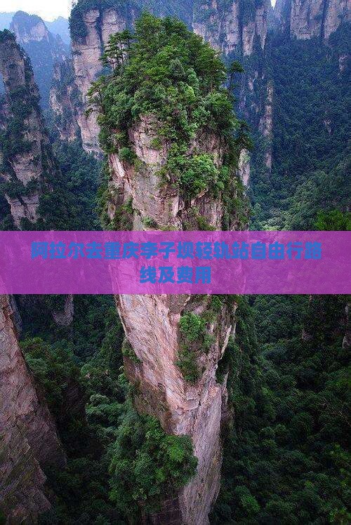 阿拉尔去重庆李子坝轻轨站自由行路线及费用
