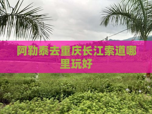 阿勒泰去重庆长江索道哪里玩好