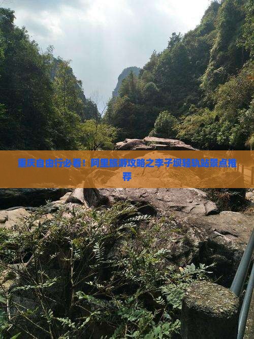 重庆自由行必看!阿里旅游攻略之李子坝轻轨站景点推荐 重庆自由行必看!阿里旅游攻略之李子坝轻轨站景点推荐