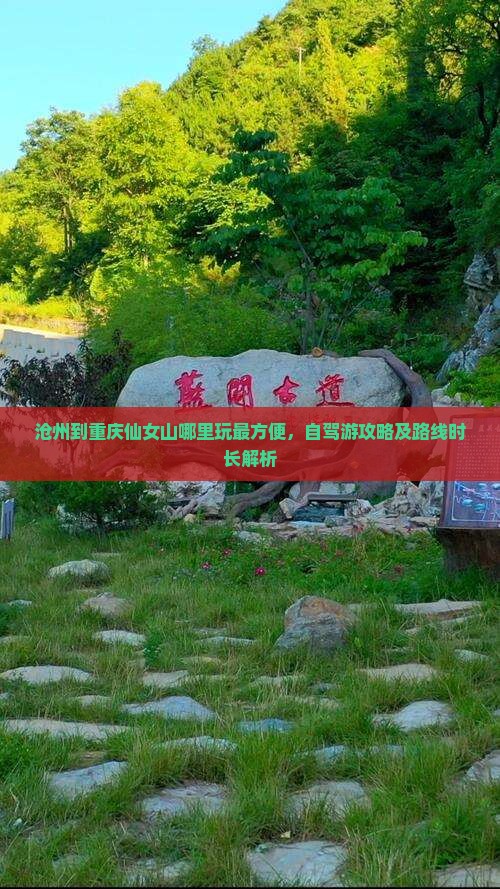 沧州到重庆仙女山哪里玩最方便，自驾游攻略及路线时长解析
