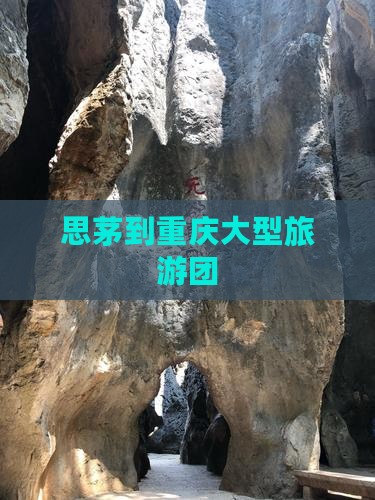 思茅到重庆大型旅游团