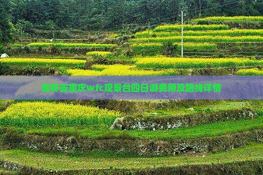 榆林去重庆wfc观景台四日游费用及路线详情