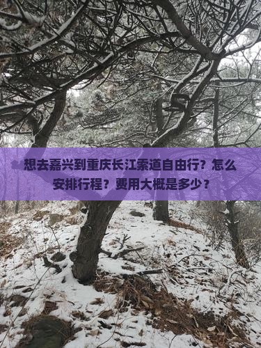 想去嘉兴到重庆长江索道自由行？怎么安排行程？费用大概是多少？