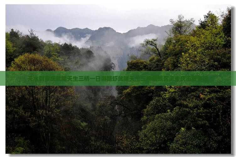 天水到重庆武隆天生三桥一日游路虾武隆天生三桥风景区离重庆市区多远