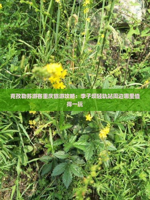 克孜勒苏游客重庆旅游攻略：李子坝轻轨站周边哪里值得一玩