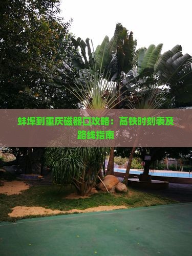 蚌埠到重庆磁器口攻略：高铁时刻表及路线指南