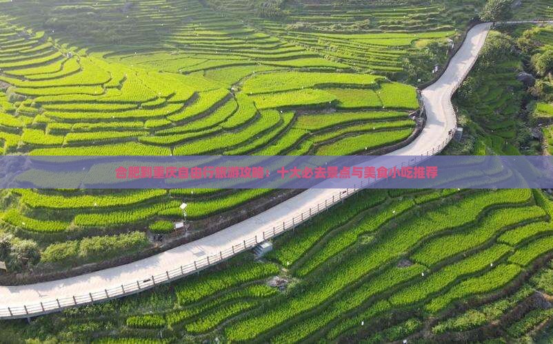 合肥到重庆自由行旅游攻略：十大必去景点与美食小吃推荐