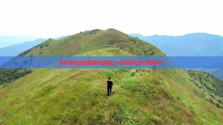 如何实现岳阳至重庆磁器口一日游的高效行程规划？