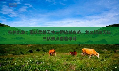 杭州出发：重庆武隆天生三桥旅游攻略，怎么玩转天坑三桥景点看看详解