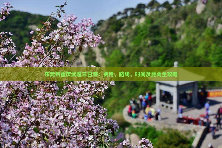 东莞到重庆武隆三日游：费用、路线、时间及距离全攻略