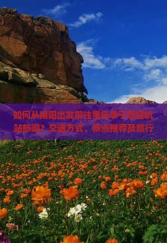 如何从揭阳出发前往重庆李子坝轻轨站旅游？交通方式、景点推荐及旅行攻略全解析
