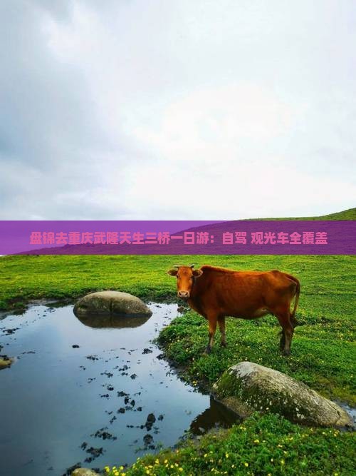 盘锦去重庆武隆天生三桥一日游：自驾+观光车全覆盖