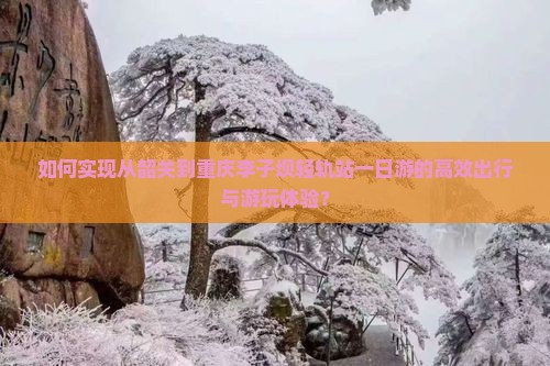 如何实现从韶关到重庆李子坝轻轨站一日游的高效出行与游玩体验？