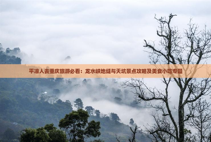 平凉人去重庆旅游必看：龙水峡地缝与天坑景点攻略及美食小吃专题
