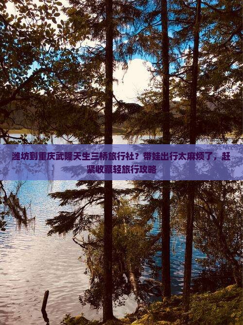 潍坊到重庆武隆天生三桥旅行社？带娃出行太麻烦了，赶紧收藏轻旅行攻略