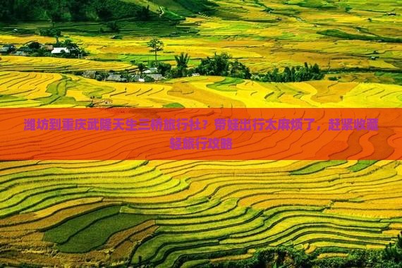 潍坊到重庆武隆天生三桥旅行社？带娃出行太麻烦了，赶紧收藏轻旅行攻略