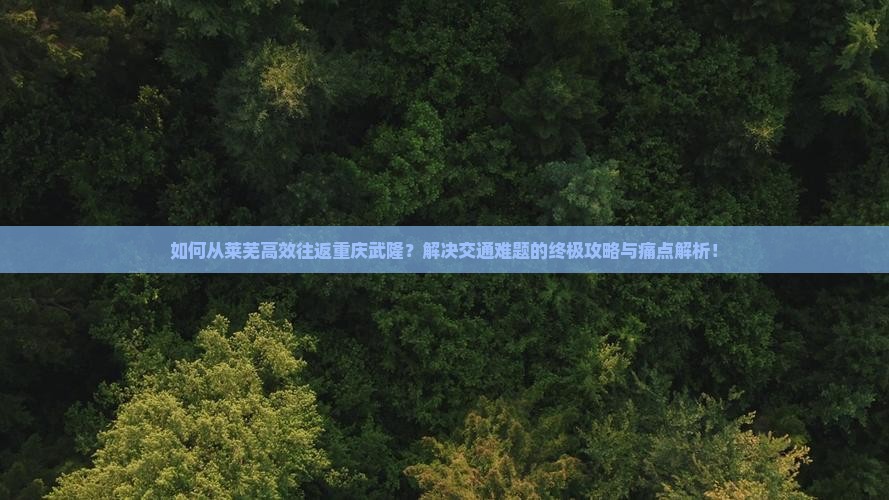 如何从莱芜高效往返重庆武隆？解决交通难题的终极攻略与痛点解析！