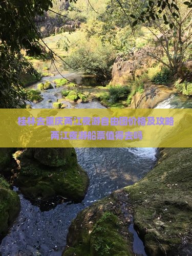 桂林去重庆两江夜游自由团价格及攻略两江夜游船票值得去吗