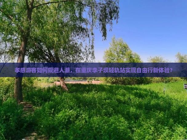 孝感游客如何规避人潮，在重庆李子坝轻轨站实现自由行新体验？