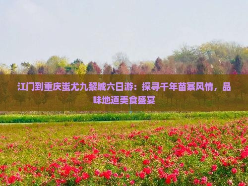 江门到重庆蚩尤九黎城六日游：探寻千年苗寨风情，品味地道美食盛宴