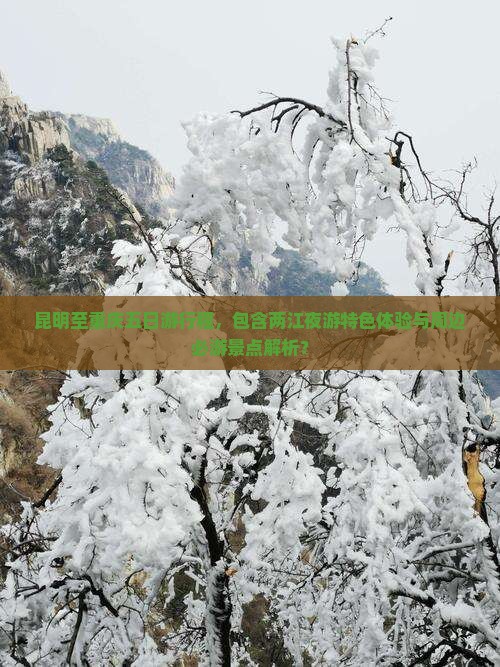 昆明至重庆五日游行程，包含两江夜游特色体验与周边必游景点解析？