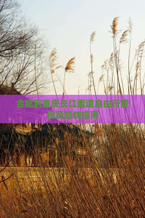 合肥到重庆长江索道自由行费用及路线指南