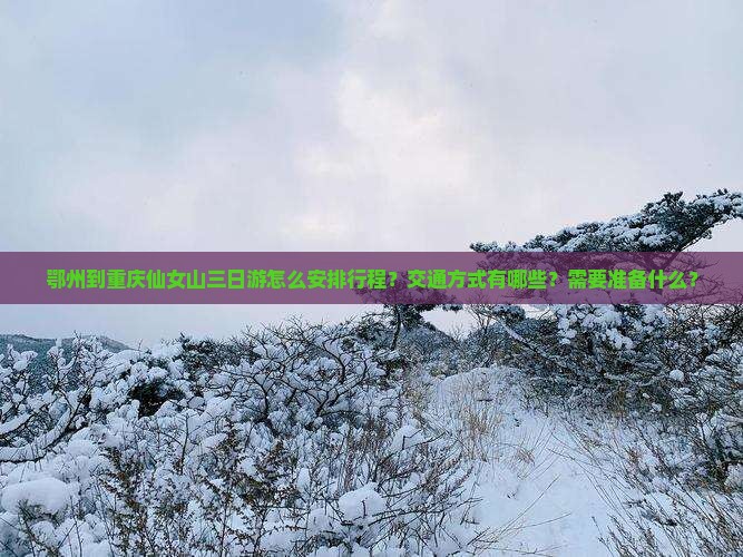 鄂州到重庆仙女山三日游怎么安排行程？交通方式有哪些？需要准备什么？