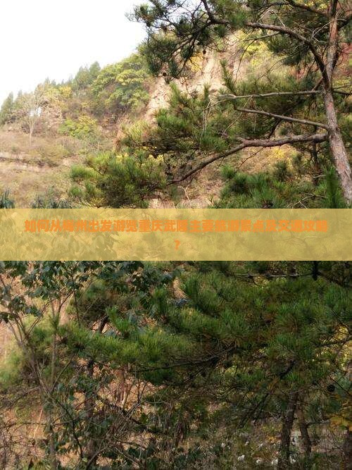 如何从梅州出发游览重庆武隆主要旅游景点及交通攻略？