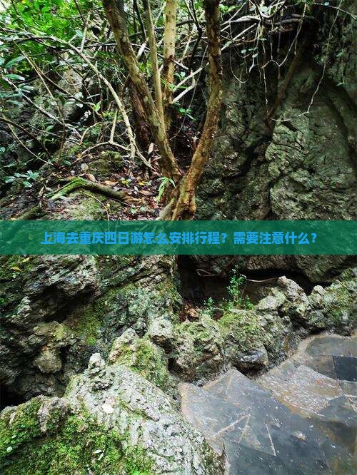 上海去重庆四日游怎么安排行程？需要注意什么？