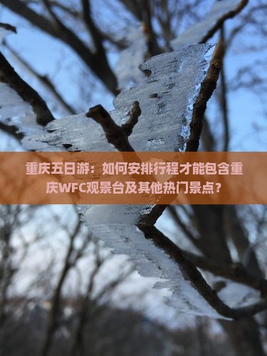 重庆五日游：如何安排行程才能包含重庆WFC观景台及其他热门景点？