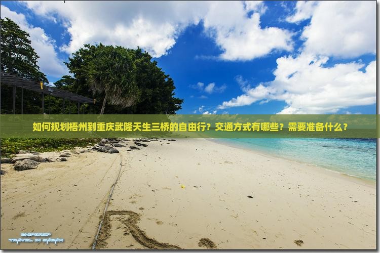 如何规划梧州到重庆武隆天生三桥的自由行？交通方式有哪些？需要准备什么？