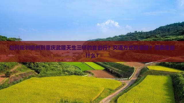 如何规划梧州到重庆武隆天生三桥的自由行？交通方式有哪些？需要准备什么？