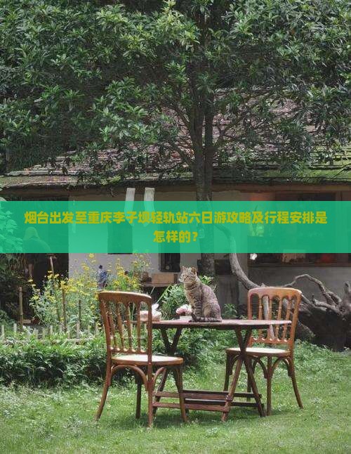 烟台出发至重庆李子坝轻轨站六日游攻略及行程安排是怎样的？