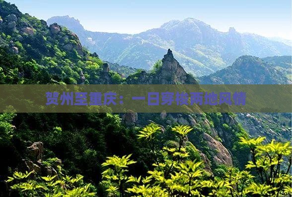 贺州至重庆：一日穿梭两地风情
