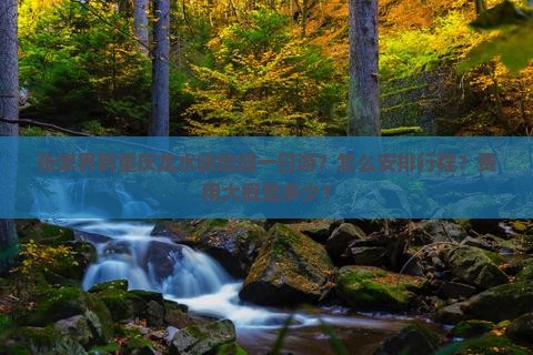 张家界到重庆龙水峡地缝一日游？怎么安排行程？费用大概是多少？