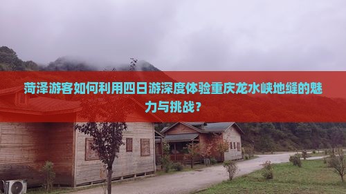菏泽游客如何利用四日游深度体验重庆龙水峡地缝的魅力与挑战？