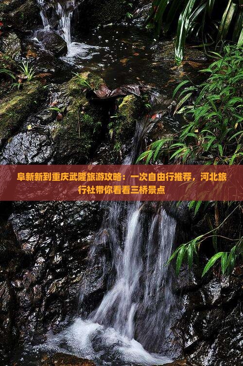 阜新新到重庆武隆旅游攻略:一次自由行推荐,河北旅行社带你看看三桥景点 阜新新到重庆武隆旅游攻略:一次自由行推荐,河北旅行社带你看看三桥景点