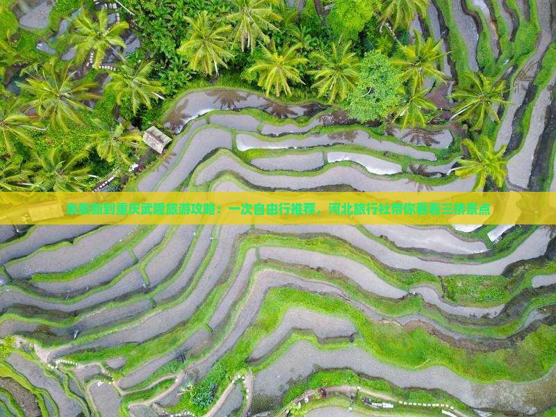 阜新新到重庆武隆旅游攻略:一次自由行推荐,河北旅行社带你看看三桥景点 阜新新到重庆武隆旅游攻略:一次自由行推荐,河北旅行社带你看看三桥景点