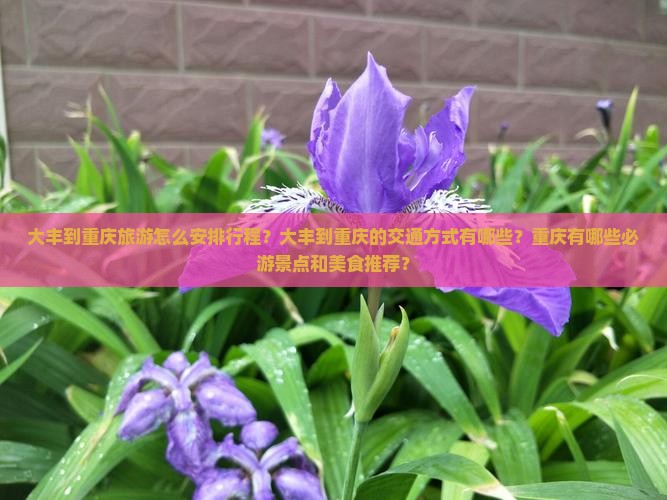 大丰到重庆旅游怎么安排行程?大丰到重庆的交通方式有哪些?重庆有哪些必游景点和美食推荐? 大丰到重庆旅游怎么安排行程?大丰到重庆的交通方式有哪些?重庆有哪些必游景点和美食推荐?