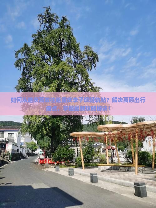 如何从迪庆高效往返重庆李子坝轻轨站？解决高原出行痛点，掌握最新攻略秘诀！
