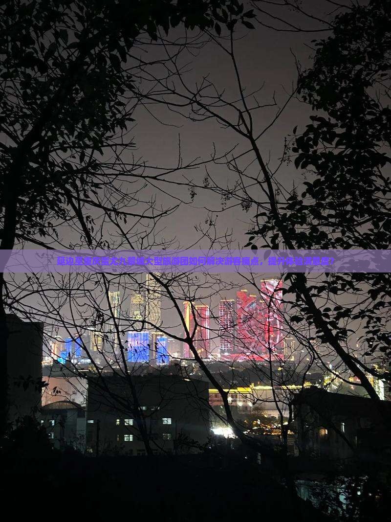 延边至重庆蚩尤九黎城大型旅游团如何解决游客痛点，提升体验满意度？