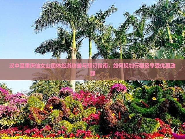 汉中至重庆仙女山团体旅游攻略与预订指南，如何规划行程及享受优惠政部