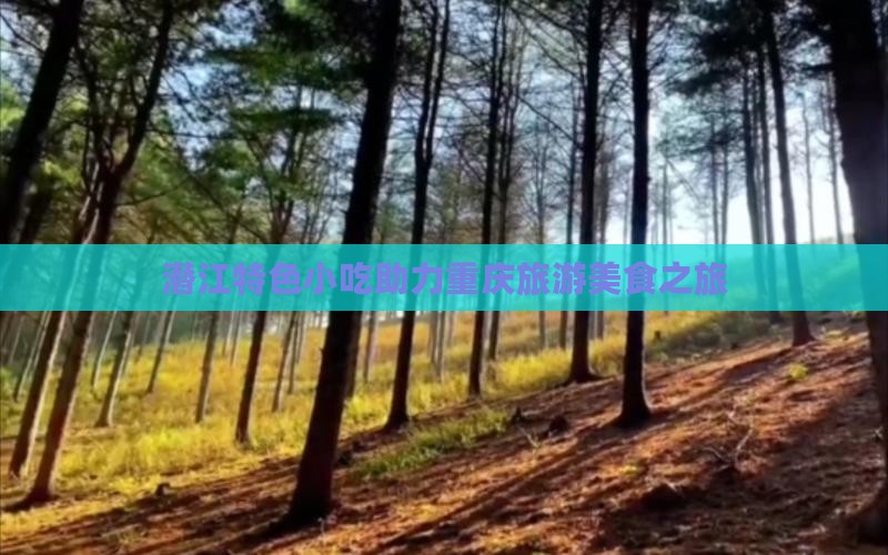 潜江特色小吃助力重庆旅游美食之旅