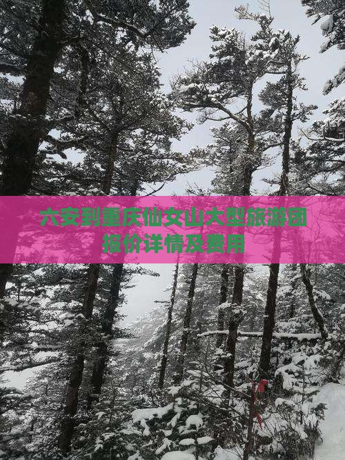 六安到重庆仙女山大型旅游团报价详情及费用