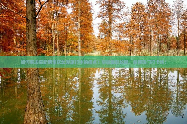 如何解决阜新到重庆武隆旅行中的痛点？掌握最新攻略，解锁热门打卡地！